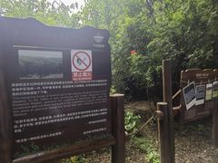 -华侨城湿地公园