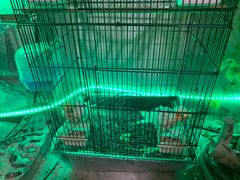 -丽江庭院之爱在路上(西单店)