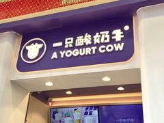 -一只酸奶牛(八一路店)