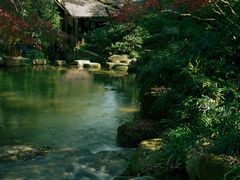 -中国茶叶博物馆(双峰馆区)