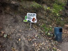 -吉林市朱雀山国家森林公园