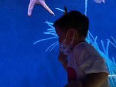 -沈阳海洋探索中心