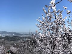 -定都阁