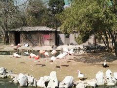 -武清南湖绿博园