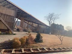 -田园东方蜜桃村的田野营地