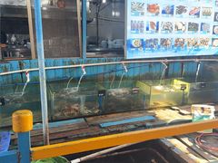 -蓝湾碧波·老字号·疍家非遗海上餐厅