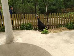 -哈尔滨北方森林动物园