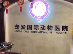 -宠爱国际动物医院·疑难骨科·心肾内科·皮肤科(太阳宫店)