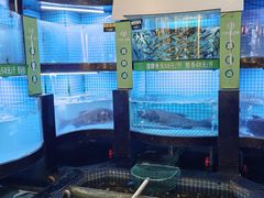 -千岛湖小鱼儿·淳安匠心农家菜