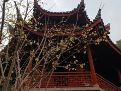 -汇龙潭