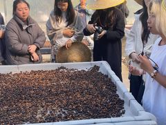 -Torch Coffee 炬点咖啡