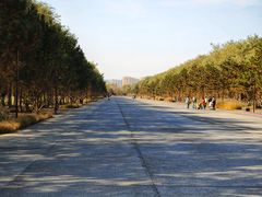 -汉长安城未央宫国家考古遗址公园