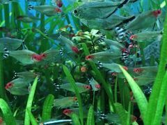 -太平洋海底世界