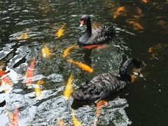 -湖鲜楼