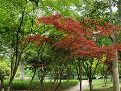 -南山风景名胜区