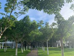 -厦门国家会计学院