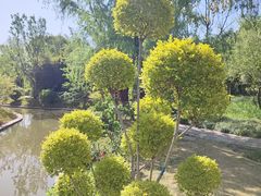 -上海交通大学(闵行校区)