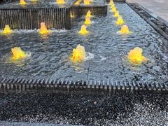-老吉堂上海本帮菜(望京万象汇店)