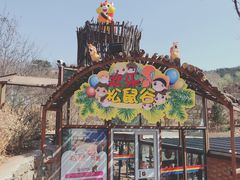 -欢乐松鼠谷