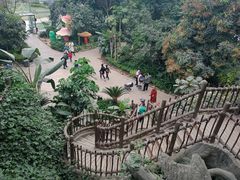 -祥源·阜阳生态乐园