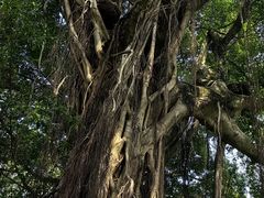 -潮州西湖