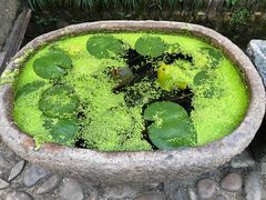 -泰宁旅游风景名胜区