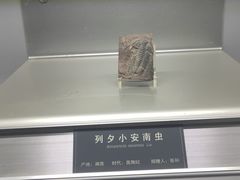 -中国地质大学逸夫博物馆
