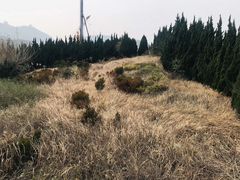 -嵊泗基湖沙滩