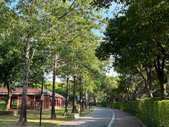 -顺峰山公园
