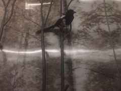 杭州逸酒店-杭州逸设计师酒店(武林广场店)