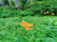 -山王坪喀斯特国家生态公园