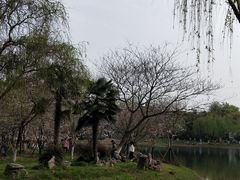-堤角公园