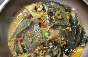 Golden Soup Ecological Softshell Turtle