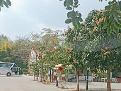 -元谋土林景区(物茂土林)