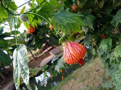 -南通洲际绿博园