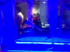 -桥岚·巷子鲜河豚鱼(专门店)