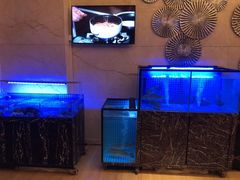 水产区-酌宴府The China Club·广州万富希尔顿酒店(云城东路店)
