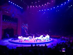 -珠海横琴长隆《卡卡虎奇遇记》