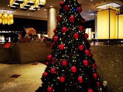 -上海锦江汤臣洲际大酒店壹阶层