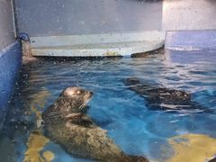 -太平洋海底世界