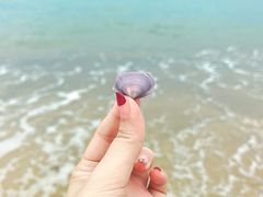 -那香海钻石沙滩浴场