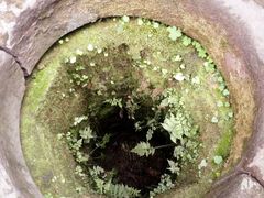 -恺庐茶园(宽窄巷子景区店)