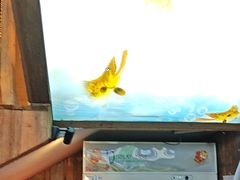 -徽三说·土徽菜·中国徽菜连锁品牌(一中店)