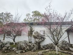 -八大山人梅湖景区