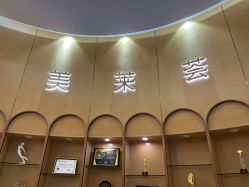 -深圳美莱医疗美容医院