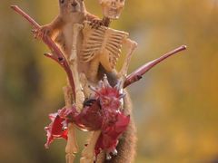 -About Bistro關於·泰式家庭料理