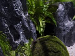 -和里合·颜愈SPA·Relax瑶浴·Massage(石厦店)
