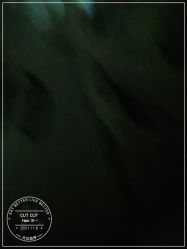 -CUT CUT Hair Salon