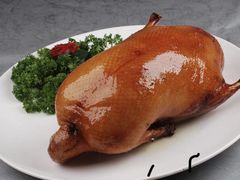 -西安烤鸭店(369烤鸭王店)