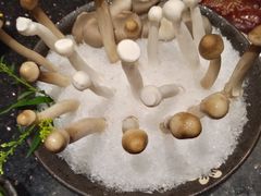 -王家渡火锅(三苏祠店)